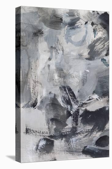 Black & White Mix I-Christina Long-Stretched Canvas