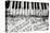 Black & White Piano Keys-Dan Meneely-Stretched Canvas
