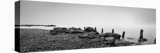 Black & White Water Panel I-James McLoughlin-Premier Image Canvas