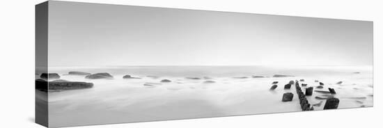 Black & White Water Panel III-James McLoughlin-Premier Image Canvas