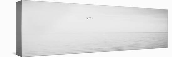 Black & White Water Panel XVI-James McLoughlin-Premier Image Canvas