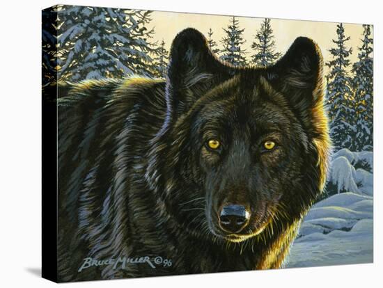 Black Wolf-Bruce Miller-Premier Image Canvas