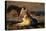 Blackbacked Jackal at Dawn-Paul Souders-Premier Image Canvas