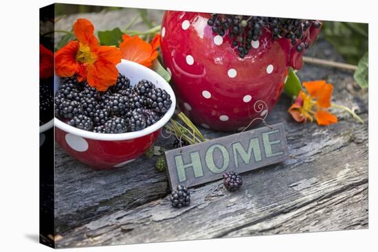 Blackberries and Blossoms, Red and White Dishes, Wooden Bank, Sign, Home-Andrea Haase-Premier Image Canvas