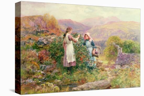 Blackberry Gatherers-Henry John Yeend King-Premier Image Canvas