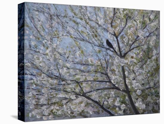 Blackbird Singing in Cherry Blossom-Ruth Addinall-Premier Image Canvas