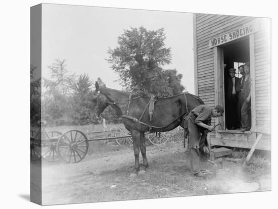 Blacksmith Shoeing a Horse-null-Premier Image Canvas