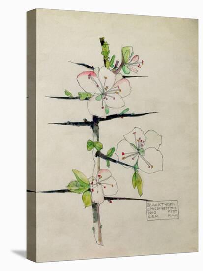 Blackthorn, Chiddingstone, Kent, 1910-Charles Rennie Mackintosh-Premier Image Canvas