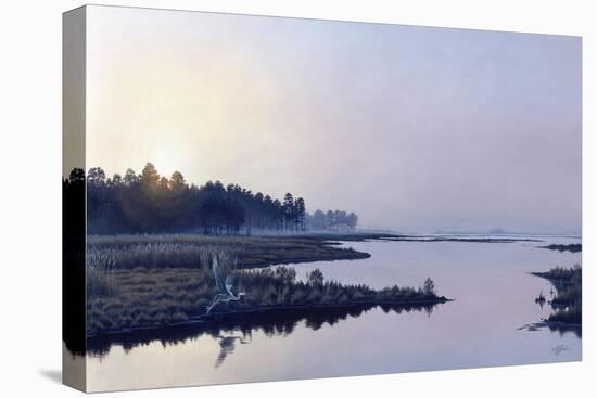 Blackwater Sunrise-Wilhelm Goebel-Premier Image Canvas