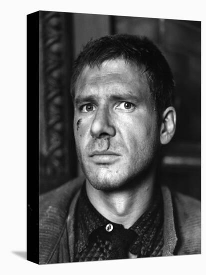 BLADE RUNNER, 1981 directed by RIDLEY SCOTT Harrison Ford (b/w photo)-null-Stretched Canvas