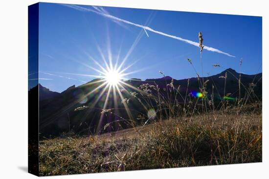 Blades of Grass in the Back Light, Sunrise Above the Spronser Col, South Tirol-Rolf Roeckl-Premier Image Canvas