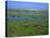 Blakeney Point, Norfolk, England, United Kingdom, Europe-Jean Brooks-Premier Image Canvas