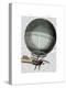 Blanchard Vintage Hot Air Balloon-Fab Funky-Stretched Canvas