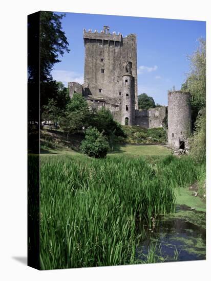 Blarney Castle, County Cork, Munster, Eire (Republic of Ireland)-J Lightfoot-Premier Image Canvas