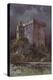 Blarney Castle-null-Premier Image Canvas