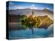 Bled Lake-Marco Carmassi-Premier Image Canvas