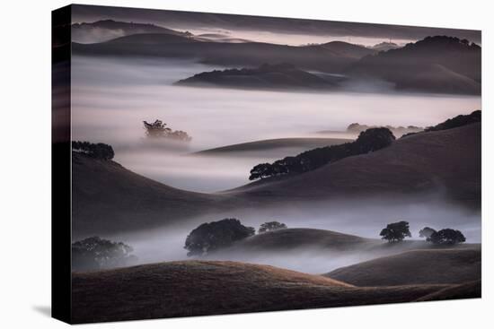 Blend of Hills and Fog, Magic Morning in Sonoma, Petaluma California-Vincent James-Premier Image Canvas