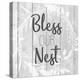 Bless Our Nest-Kimberly Allen-Stretched Canvas
