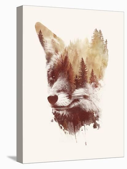 Blind Fox-Robert Farkas-Premier Image Canvas