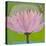 Bliss Lotus II-Jodi Fuchs-Stretched Canvas