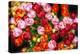 Bloemenmarket Flower Market. Amsterdam, Holland, Netherlands.-William Perry-Premier Image Canvas