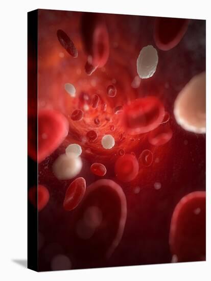 Blood Stream, Artwork-SCIEPRO-Premier Image Canvas