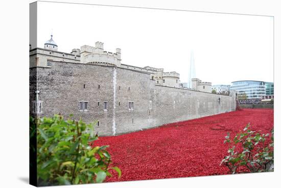 'Blood Swept Lands and Seas of Red', Tower of London, 2014-Sheldon Marshall-Stretched Canvas