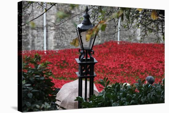 'Blood Swept Lands and Seas of Red', Tower of London, 2014-Sheldon Marshall-Stretched Canvas