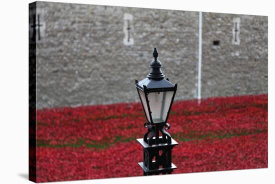 'Blood Swept Lands and Seas of Red', Tower of London, 2014-Sheldon Marshall-Stretched Canvas