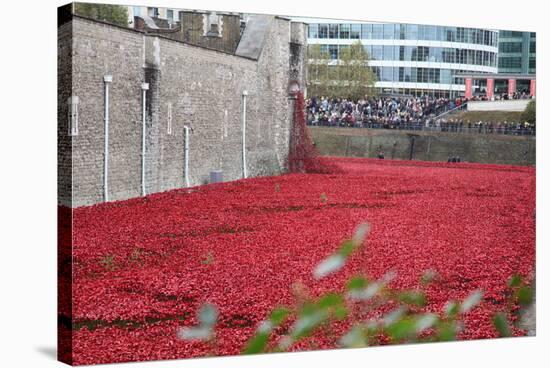 'Blood Swept Lands and Seas of Red', Tower of London, 2014-Sheldon Marshall-Stretched Canvas