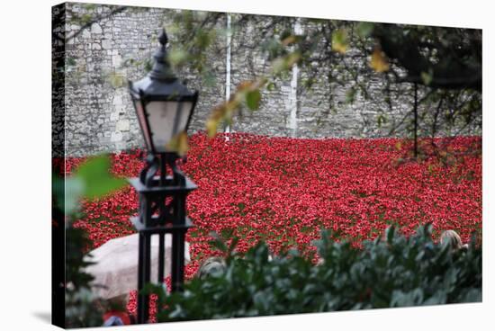 'Blood Swept Lands and Seas of Red', Tower of London, 2014-Sheldon Marshall-Stretched Canvas