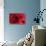 Blood Vessel, Artwork-David Mack-Premier Image Canvas displayed on a wall