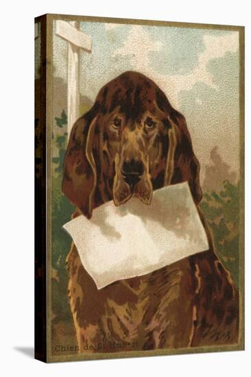 Bloodhound Holding Blank Paper in its Mouth-null-Stretched Canvas