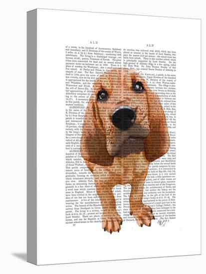 Bloodhound Puppy-Fab Funky-Stretched Canvas