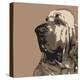 Bloodhound-Emily Burrowes-Stretched Canvas