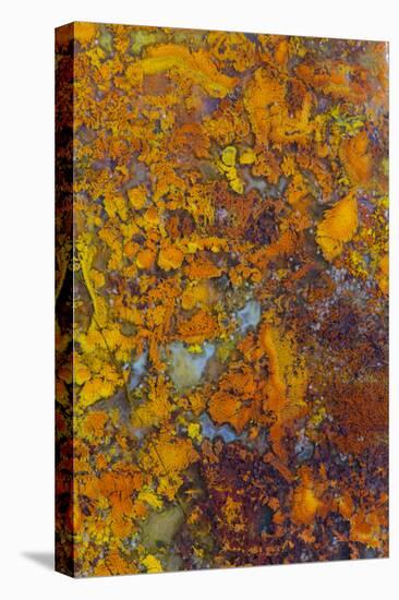 Bloody Basin Agate, AZ-Darrell Gulin-Premier Image Canvas