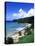 Bloody Bay, Tobago, Caribbean-Angelo Cavalli-Premier Image Canvas