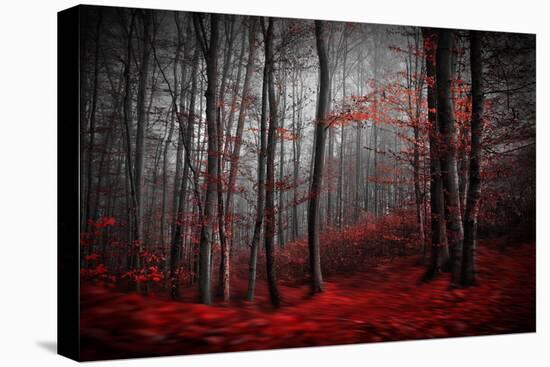 Bloody River-Samanta-Premier Image Canvas