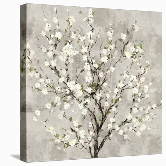 Bloom Tree-Asia Jensen-Stretched Canvas