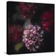 Blooming  2020  (painting)-Helen White-Premier Image Canvas