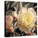 Blooming Flowers 5670-Rica Belna-Premier Image Canvas