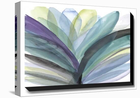 Blooming Glory-Rebecca Meyers-Stretched Canvas