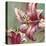 Blooming Lily-Brent Heighton-Stretched Canvas