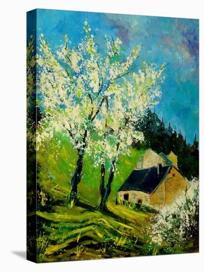 Blooming Prune Trees-Pol Ledent-Stretched Canvas