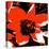 Blooming Red Hot-Herb Dickinson-Premier Image Canvas