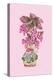 Blooming Vase in Pink-Ania Zwara-Premier Image Canvas