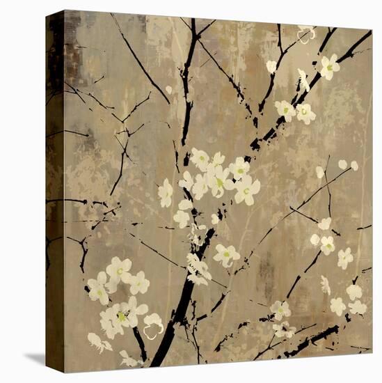 Blossom Abstracted-Andrew Michaels-Stretched Canvas