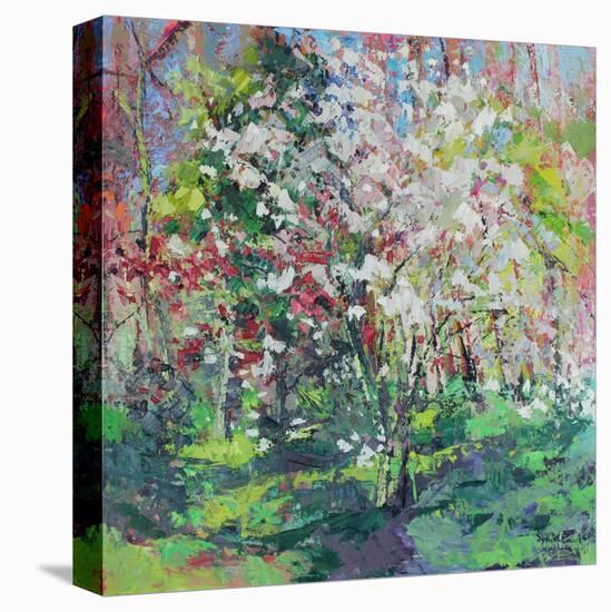 Blossom in the Wood-Sylvia Paul-Premier Image Canvas