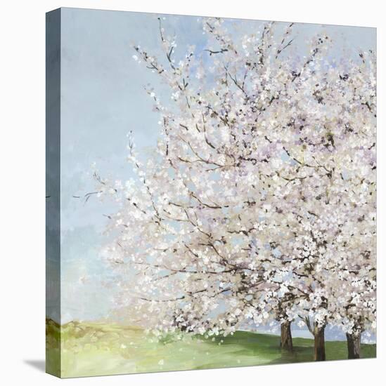 Blossom Orchard-Allison Pearce-Stretched Canvas