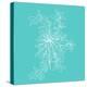 Blossom Pop Aqua-Jan Weiss-Stretched Canvas